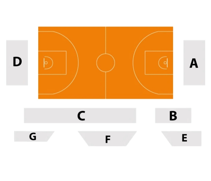 Żubry Abakus Okna Białystok vs Miners Katowice